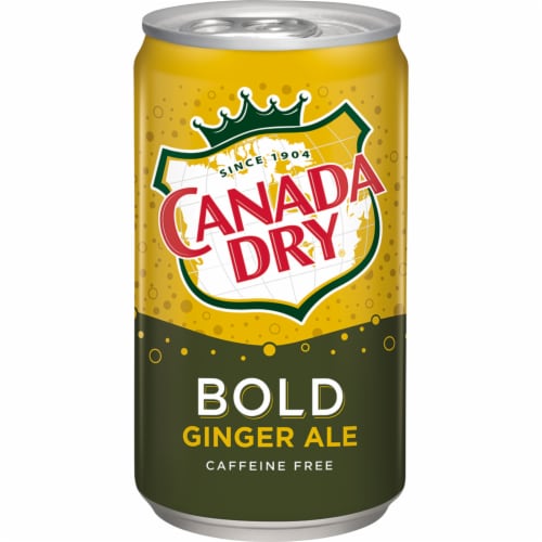 Canada Dry® Bold Ginger Ale Soda Mini Cans Perspective: bottom