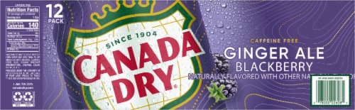 Canada Dry Blackberry Ginger Ale Soda Cans Perspective: bottom