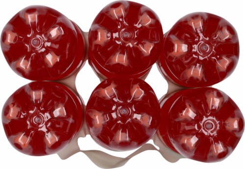 Tahitian Treat® Fruit Punch Soda Perspective: bottom