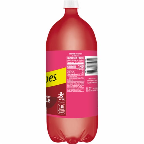 Schweppes® Cranberry Raspberry Ginger Ale Soda Bottle Perspective: bottom