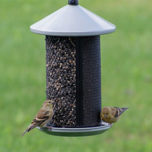 Perky-Pet Dual Mesh Seed Feeder Perspective: bottom