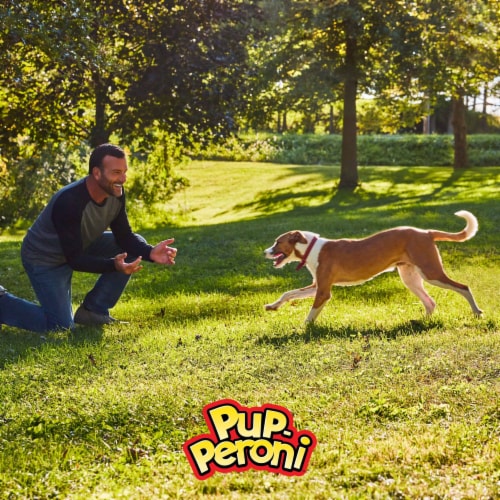 Pup-Peroni Prime Rib Flavor Dog Treats Perspective: bottom