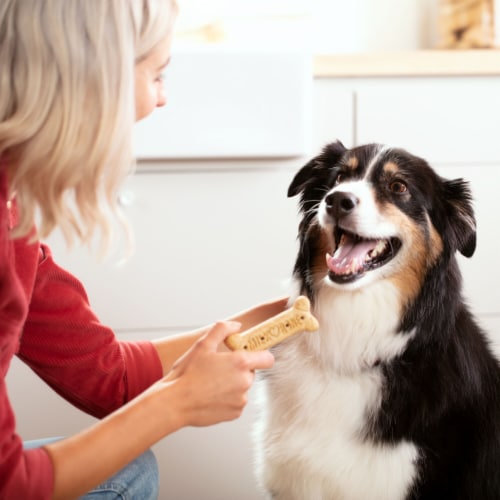 Milk-Bone Original Dog Biscuits, Large Crunchy Dog Treats Perspective: bottom