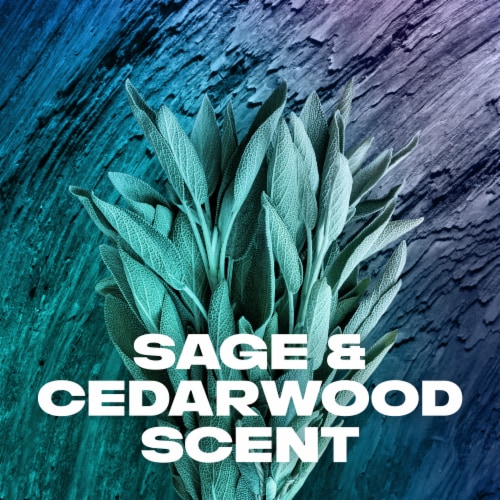 AXE Sage & Cedarwood Aluminum Free Deodorant Stick Perspective: bottom
