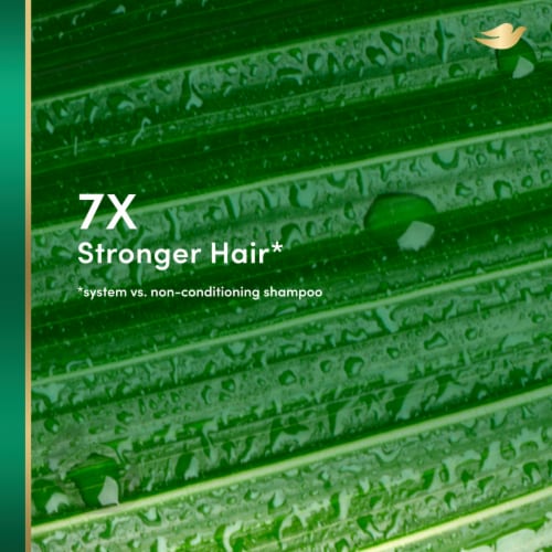 Dove RE+AL Bio-Mimetic Care Repair Coconut + Vegan Keratin™ Shampoo Perspective: bottom