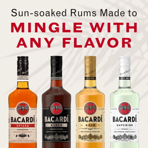 Bacardi Spiced Dark Rum Perspective: bottom