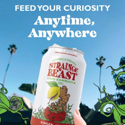 Strainge Beast Ginger Lemon & Hibiscus Hard Kombucha Perspective: bottom