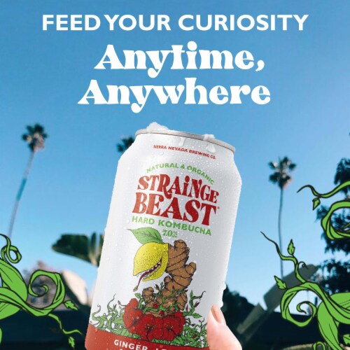 Strainge Beast Ginger Lemon & Hibiscus Hard Kombucha Perspective: bottom