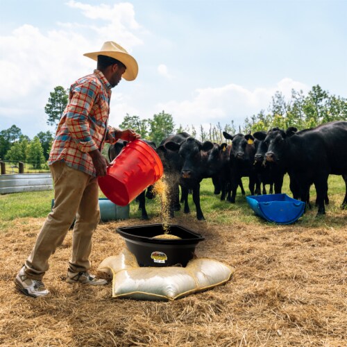 Little Giant 26 Quart Plastic Hanging Corner Livestock Feeder Bucket