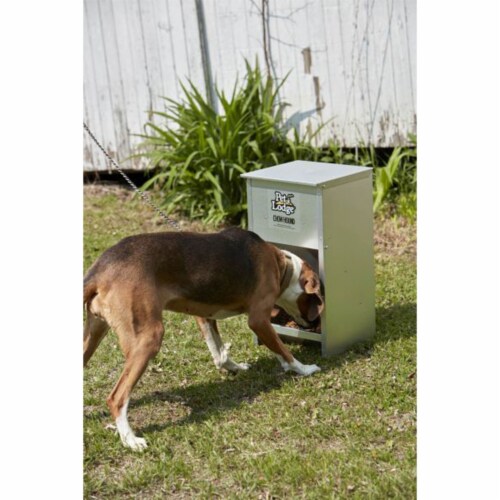 Little Giant Automatic Dry Dog Food Feeder & 3.25 Gal Steel Ever