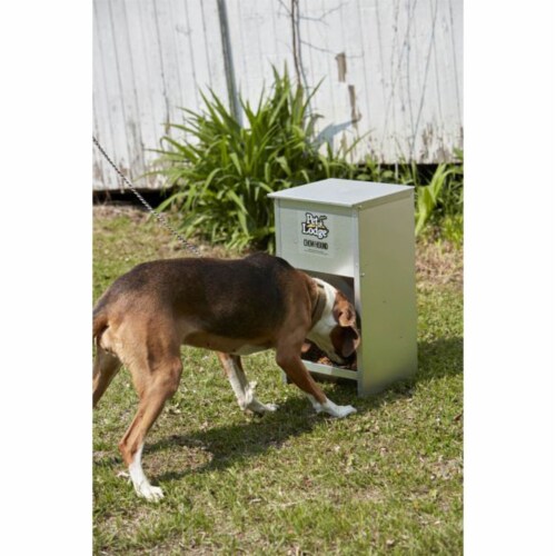 Chow hound dog food clearance