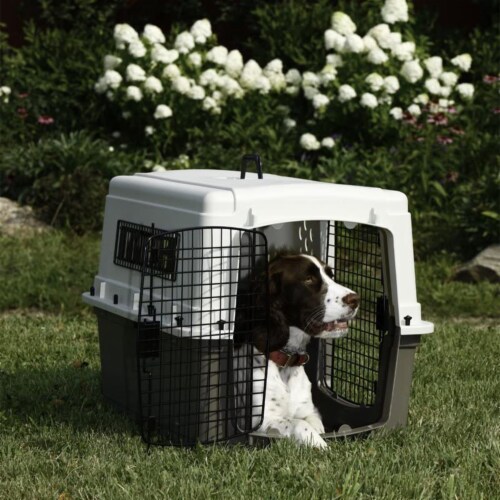 Miller Manufacturing Hard Sided Double Door Dog Pet Travel Kennel Crate Brown 1 Piece Harris Teeter
