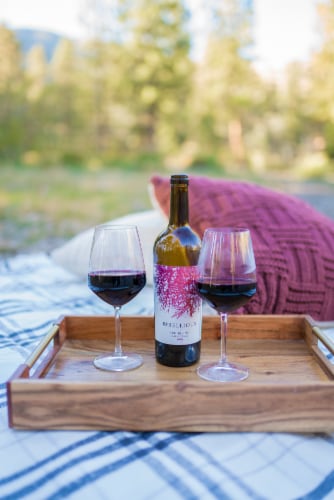 Rebellious California Red Blend Wine Perspective: bottom