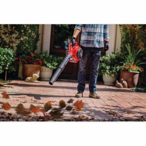 Troy Bilt 2-Cycle Blower Perspective: bottom