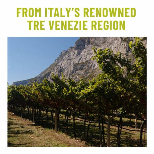 Ecco Domani® Pinot Grigio Perspective: bottom