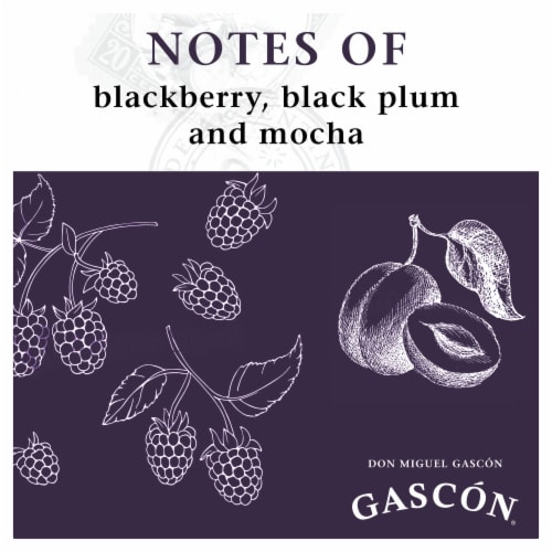 Don Miguel Gascon Malbec Argentina Red Wine Perspective: bottom