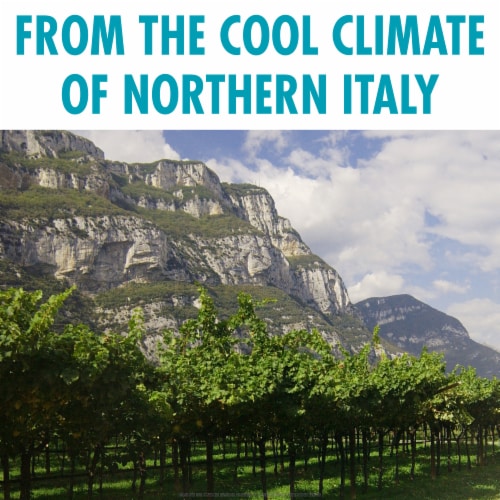 Ecco Domani 90 Calorie Pinot Grigio Italian White Wine Perspective: bottom