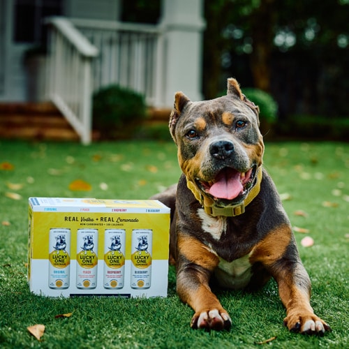 Lucky One Vodka Lemonade Variety Pack Perspective: bottom