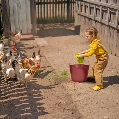 Little Giant 11 Gallon Heavy Duty Farm Bucket Poly/Rubber Flex Tub with Handles Perspective: bottom
