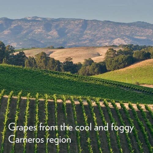 Charles Krug Chardonnay California White Wine Perspective: bottom
