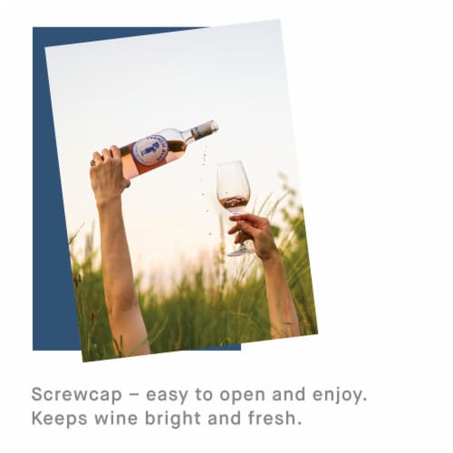 French Blue Sauvignon Blanc France White Wine Perspective: bottom