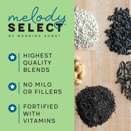 Morning Song® Melody Select™ Songbird Supreme Bird Food Perspective: bottom