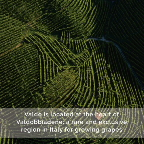 Valdo Brut Marca Oro Glera/Prosecco Italy Sparkling Wine Perspective: bottom
