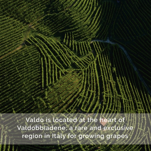 Valdo Brut Marca Oro Glera/Prosecco Italy Sparkling Wine Perspective: bottom