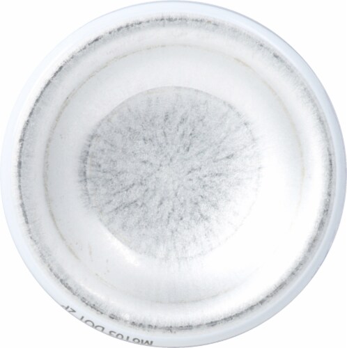 Citrus Magic® Lavender Spray Perspective: bottom