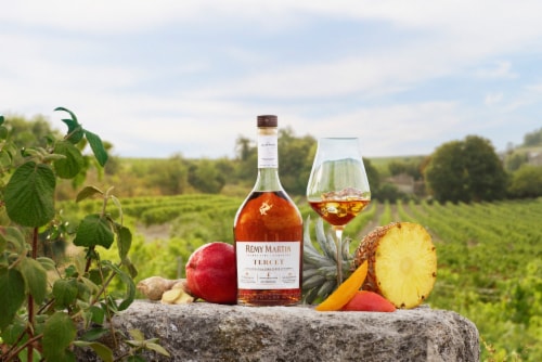 Remy Martin Tercet Cognac Perspective: bottom