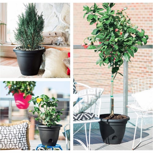 Bloem LP08908 8 in. Lucca Self Watering Planter with Saucer, Charcoal Perspective: bottom