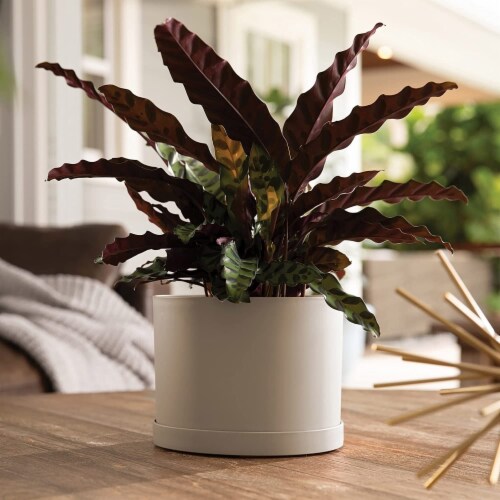 Bloem MAT0883 Mathers Garden Planter w/Saucer Tray, Pebble Stone Beige, 8 Perspective: bottom
