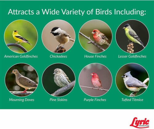Lyric Finch Wild Bird Food Nyjer Seed 3 lb. - Case Of: 1; Perspective: bottom