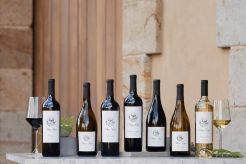 Stag's Leap Winery Sauvignon Blanc White Wine Perspective: bottom