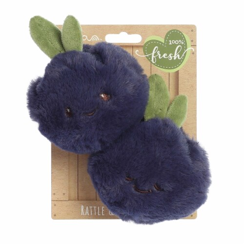 ebba Mini Blue Precious Produce Blueberry Rattle & Crinkle Set Adorable ...