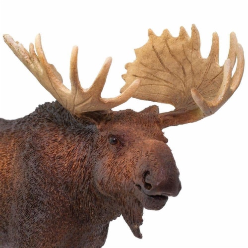 Moose Toy Perspective: bottom
