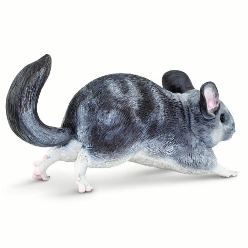 Chinchilla Perspective: bottom