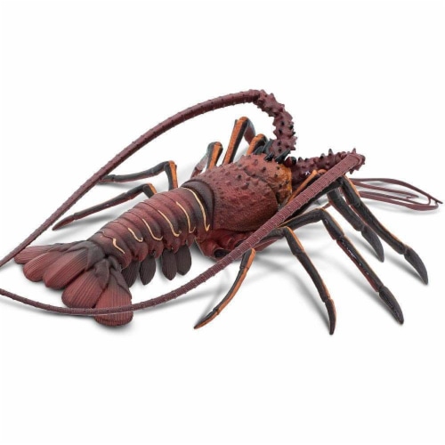 Safari Ltd®  Spiny Lobster, Toy Figurine Perspective: bottom