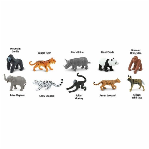 Endangered Species - Land TOOB Perspective: bottom