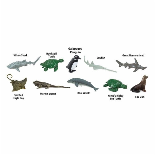 Endangered Species - Marine TOOB Perspective: bottom