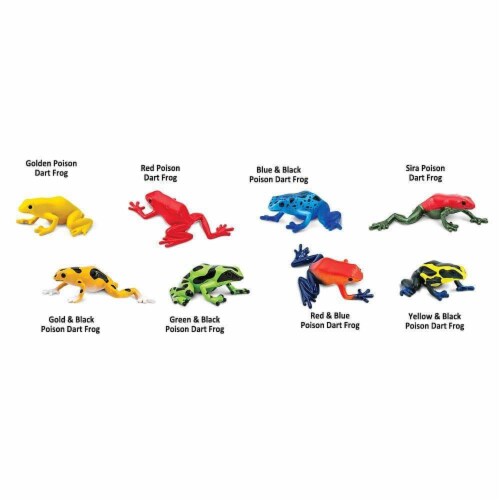 Poison Dart Frogs TOOB Perspective: bottom