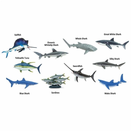 Pelagic Fish TOOB Perspective: bottom