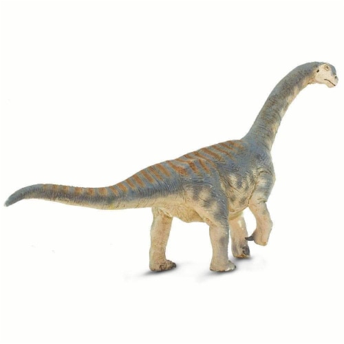 Camarasaurus Toy Perspective: bottom
