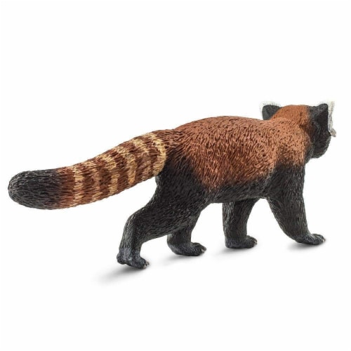 Red Panda Perspective: bottom