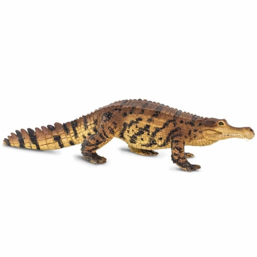 Sarcosuchus Toy Perspective: bottom