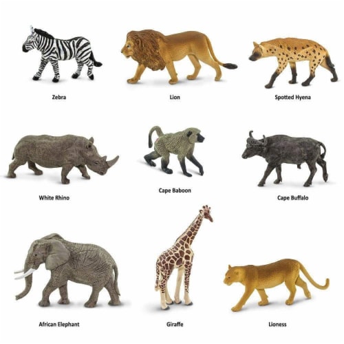 South African Animals TOOB Perspective: bottom