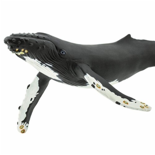 Humpback Whale Toy Perspective: bottom