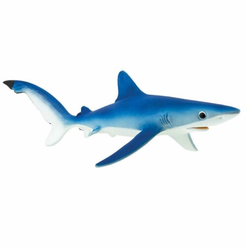 Blue Shark Toy lb Harris Teeter
