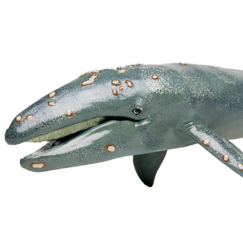 Gray Whale Toy Perspective: bottom
