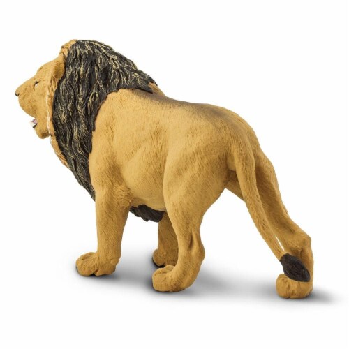 Lion Toy Perspective: bottom